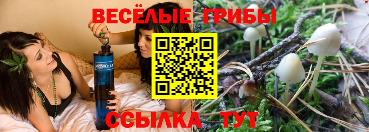 Псилоцибиновые грибы мухоморы Волгодонск