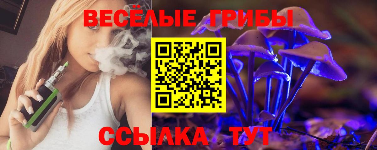 Галлюциногенные грибы мухоморы  Вход с VPN  Волгодонск  Галлюциногенные грибы GOLDEN TEACHER 