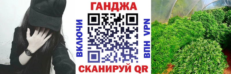 Бошки марихуана ГИДРОПОН  дарнет шоп  Волгодонск 