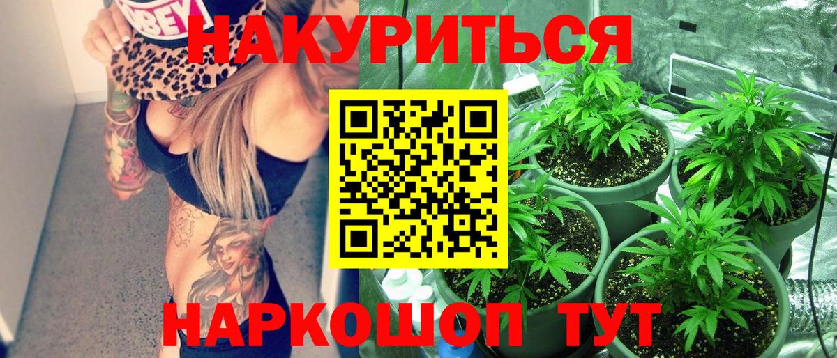 Каннабис THC 21%  Бошки марихуана план  Волгодонск  Вход с VPN 